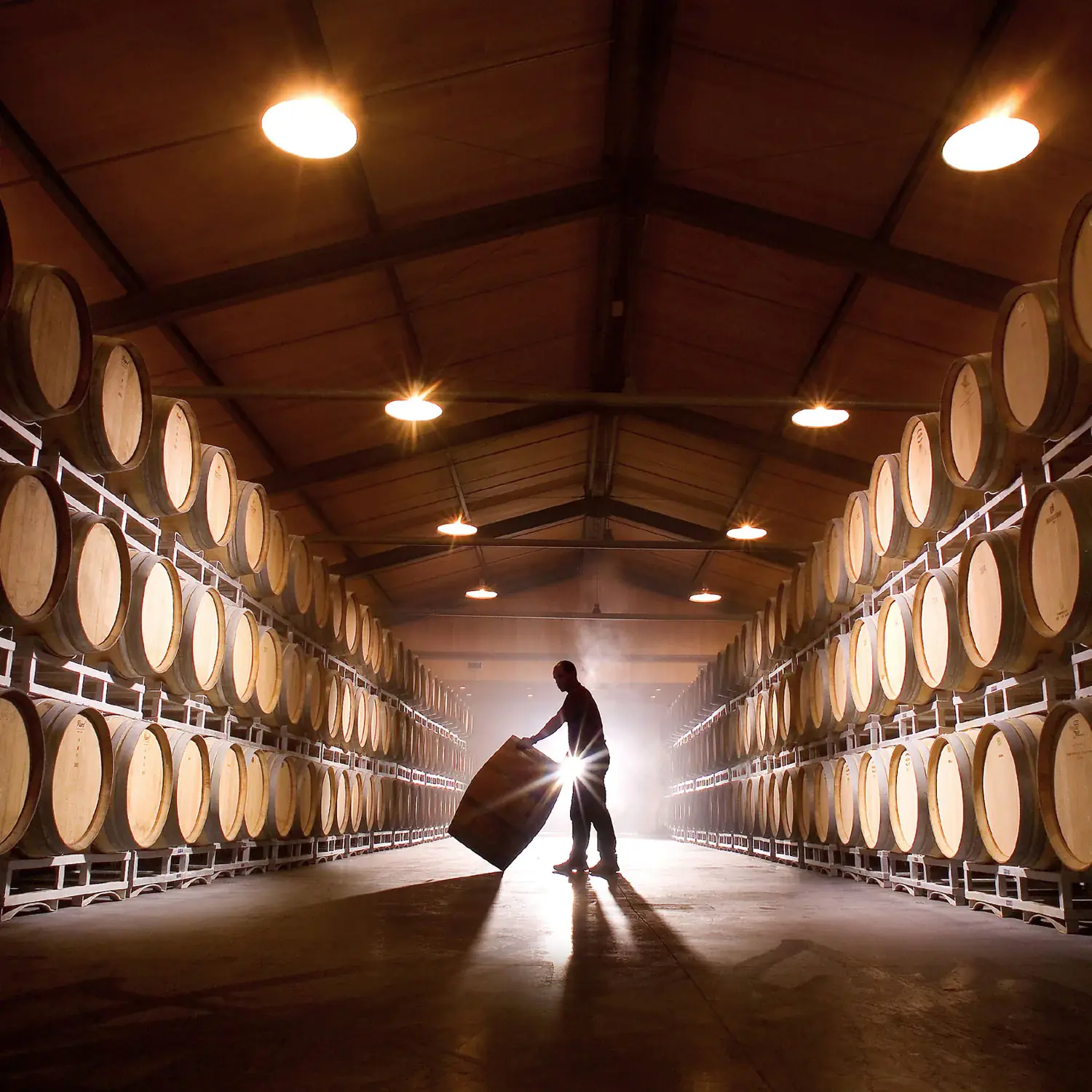 在一个装满酒桶的酒窖中,一名男子提着一个酒桶。