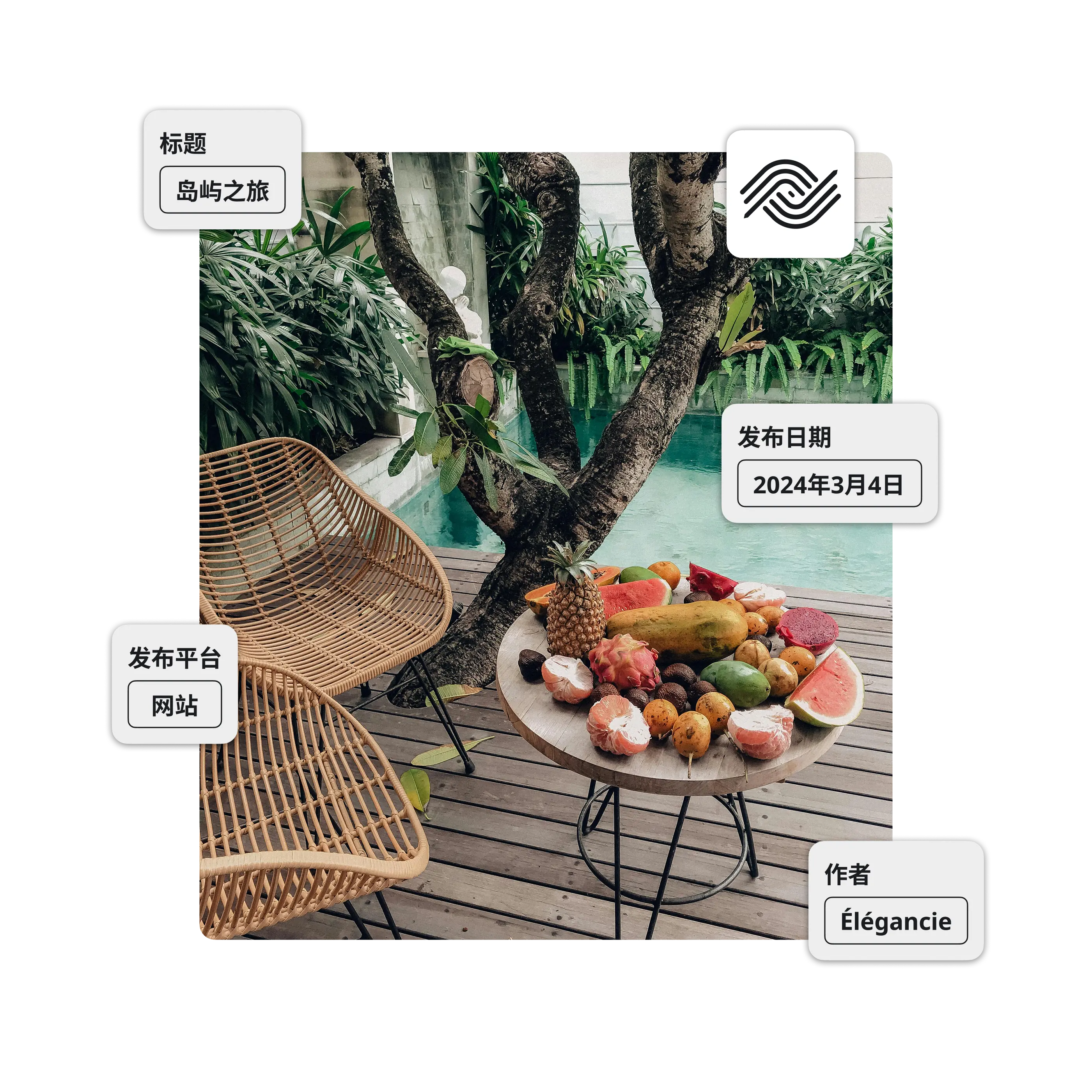 WordPress 的 Ephoto Dam 插件集成图像，可直接从扩展程序中进行高级媒体管理、图像优化和标题管理。