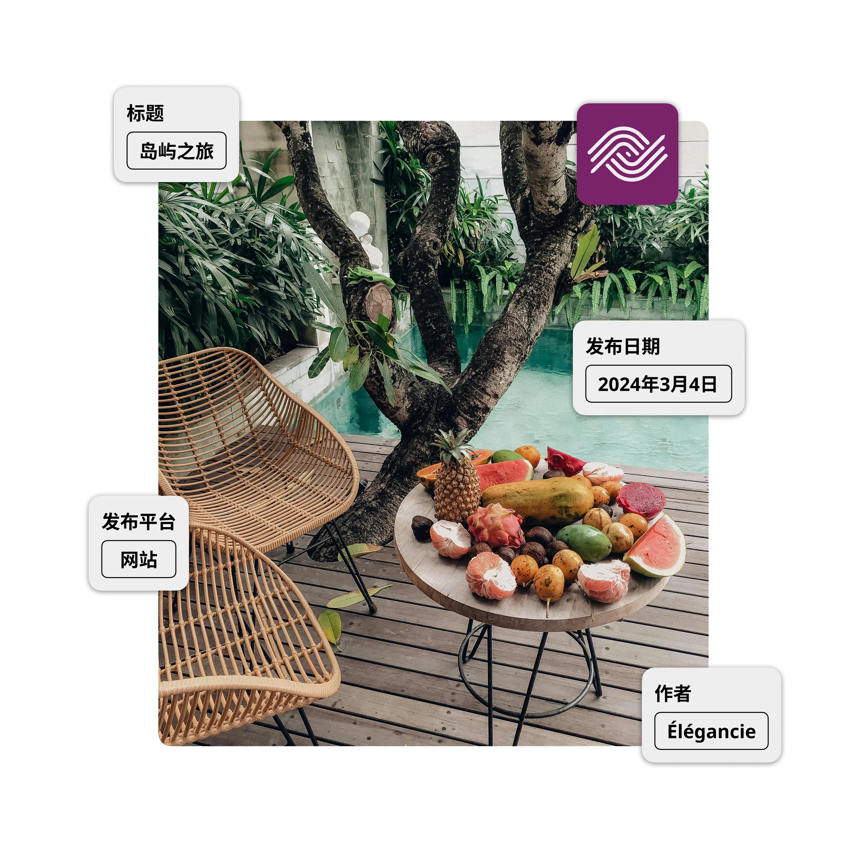 WordPress 的 Ephoto Dam 插件集成图像，可直接从扩展程序中进行高级媒体管理、图像优化和标题管理。