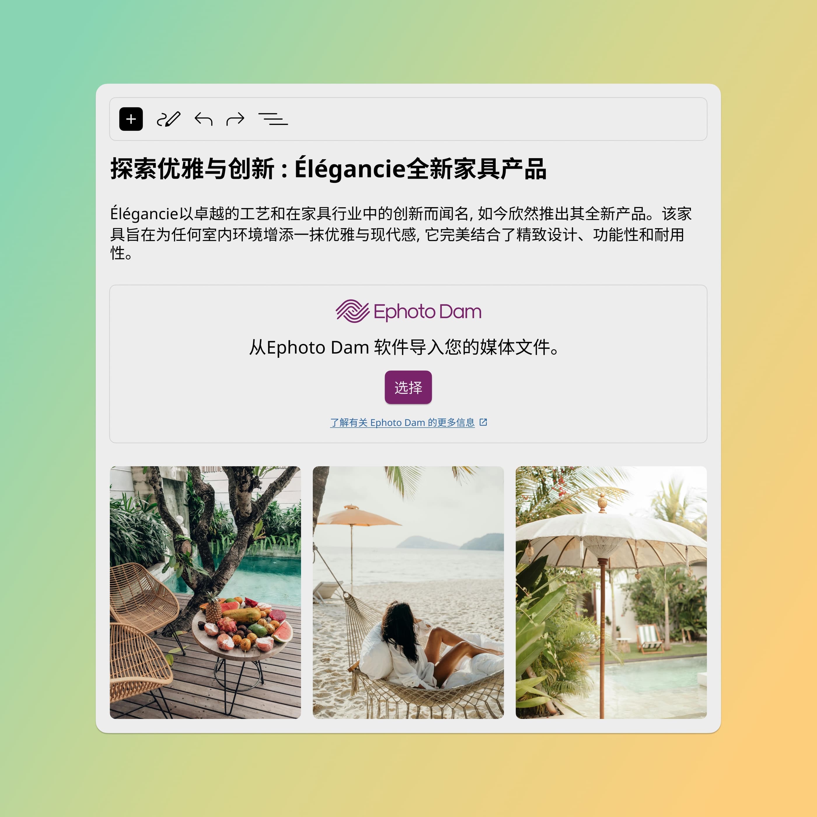 带有 Ephoto Dam 插件的 WordPress 界面，可轻松整合数字资产管理解决方案中的媒体。