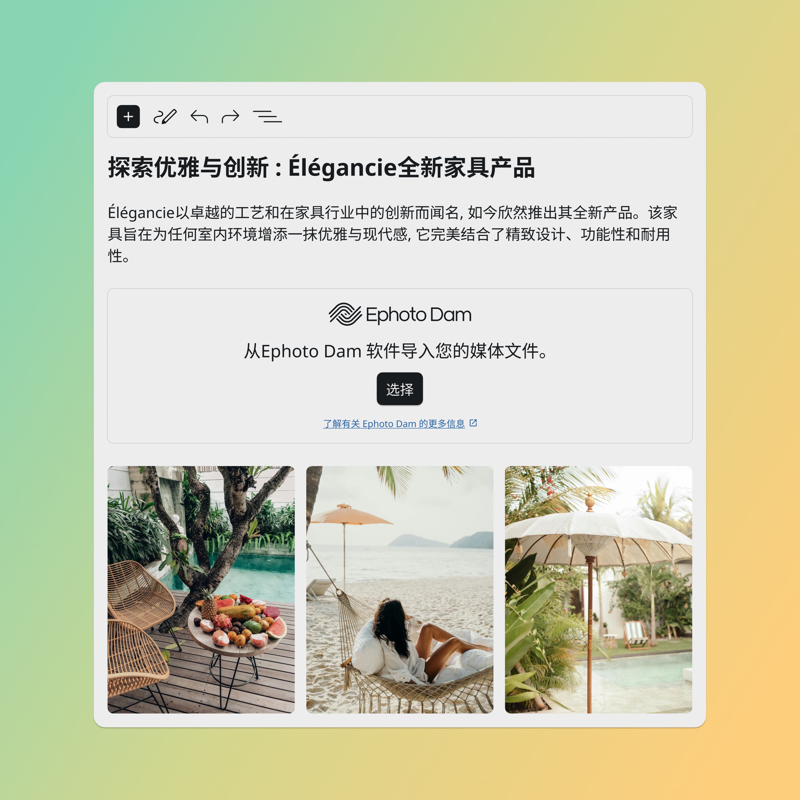 带有 Ephoto Dam 插件的 WordPress 界面，可轻松整合数字资产管理解决方案中的媒体。